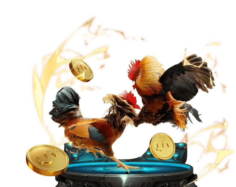 Hình ảnh minh họa quy trình đăng ký và đặt cược đấu gà tại w88 vĩnh cơ